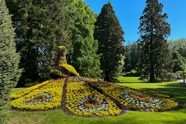 Blumenpracht auf der Insel Mainau